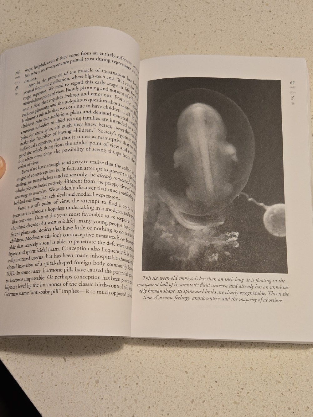 Everyday Initiations: How to Survive Crises Using Rituals Paperback - Picture 5 of 5